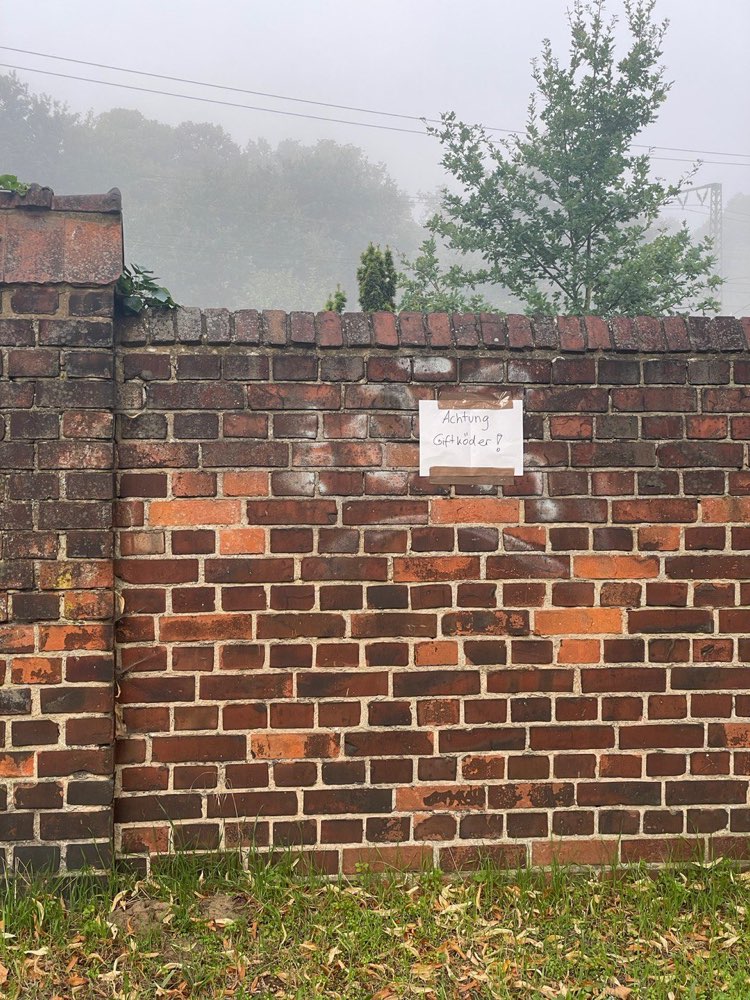 Giftköder-Giftköder-Profilbild