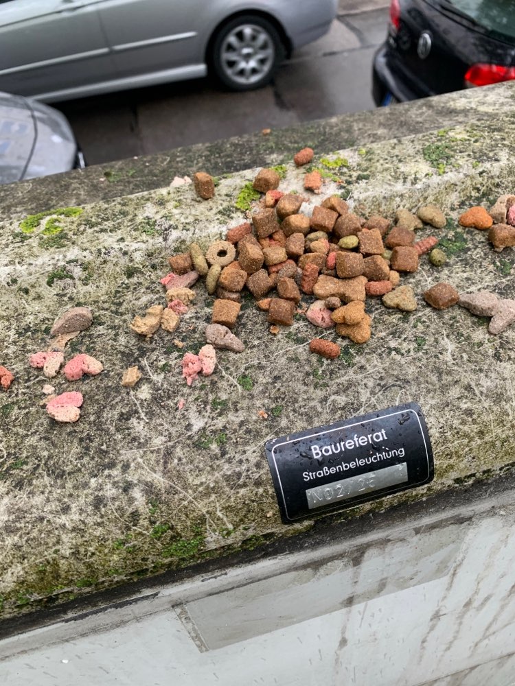Giftköder-Hundeleckerlis als Giftköder ?-Profilbild