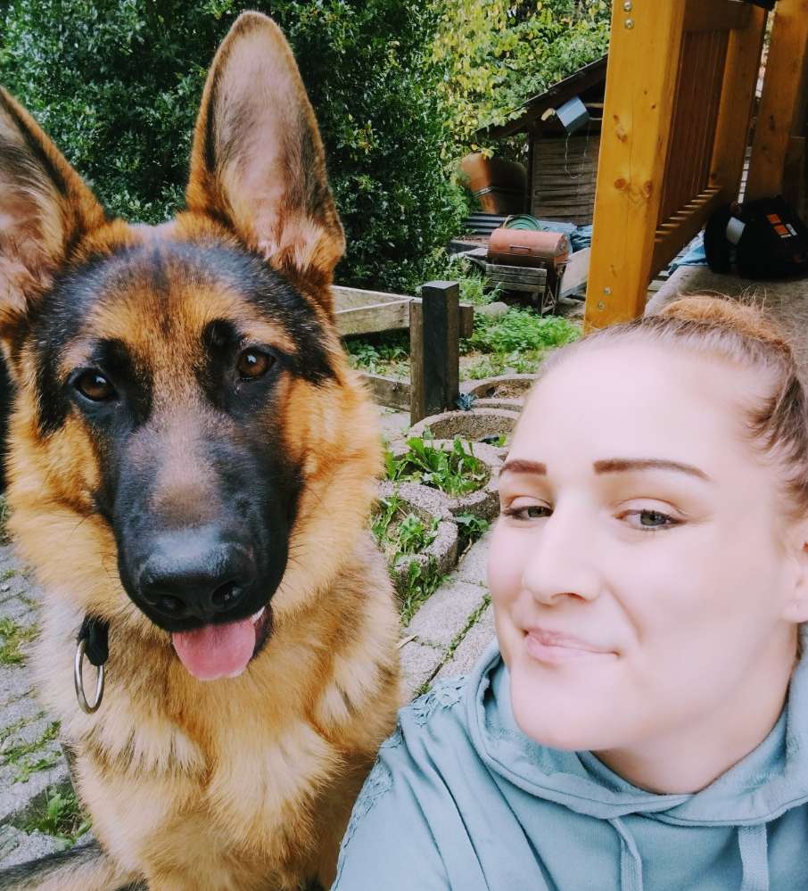 Hundetreffen-Hunde Freunde-Profilbild