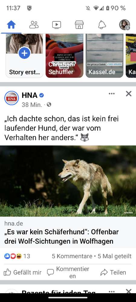 Giftköder-Wolfssichtung-Profilbild