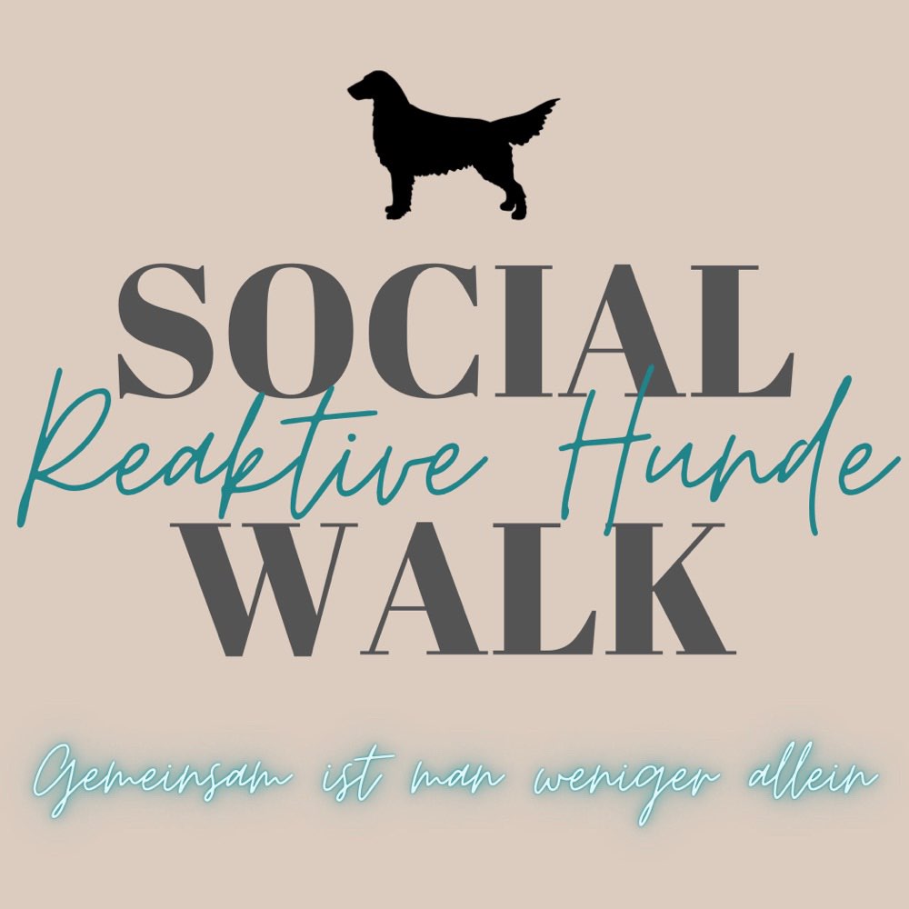 Hundetreffen-WhatsApp Gruppe Social Walk (reaktive Hunde)-Profilbild