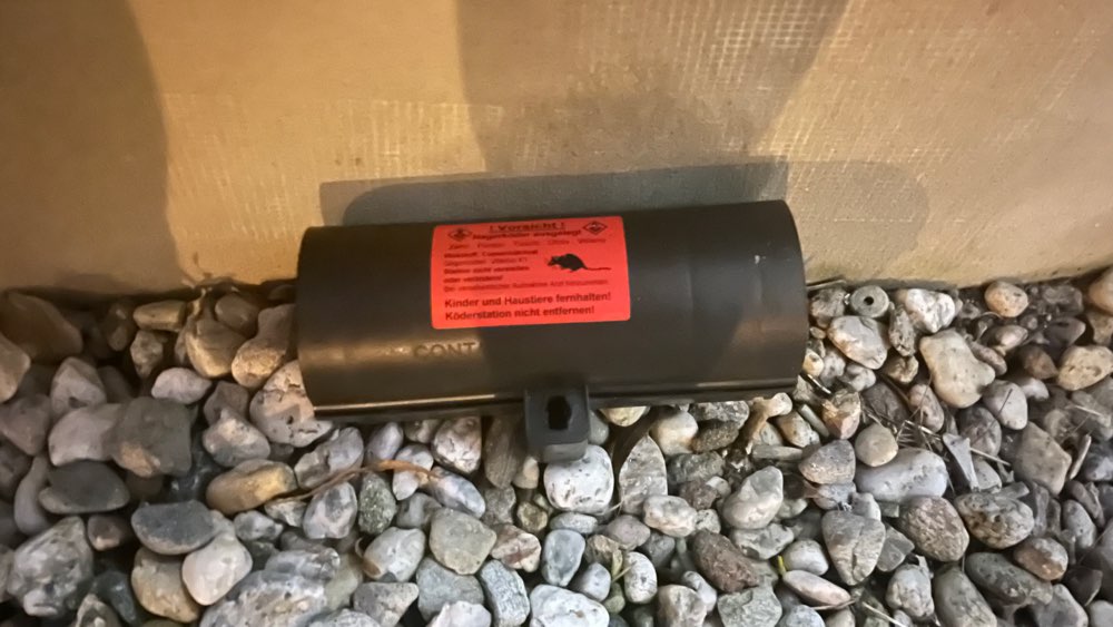 Giftköder-Achtung: Ausgelegtes Rattengift-Profilbild