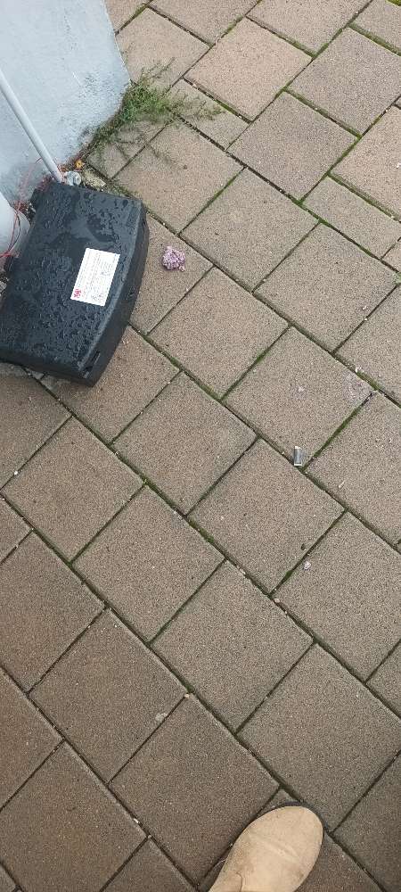 Giftköder-Rattengift am Rother Bahnhof-Profilbild