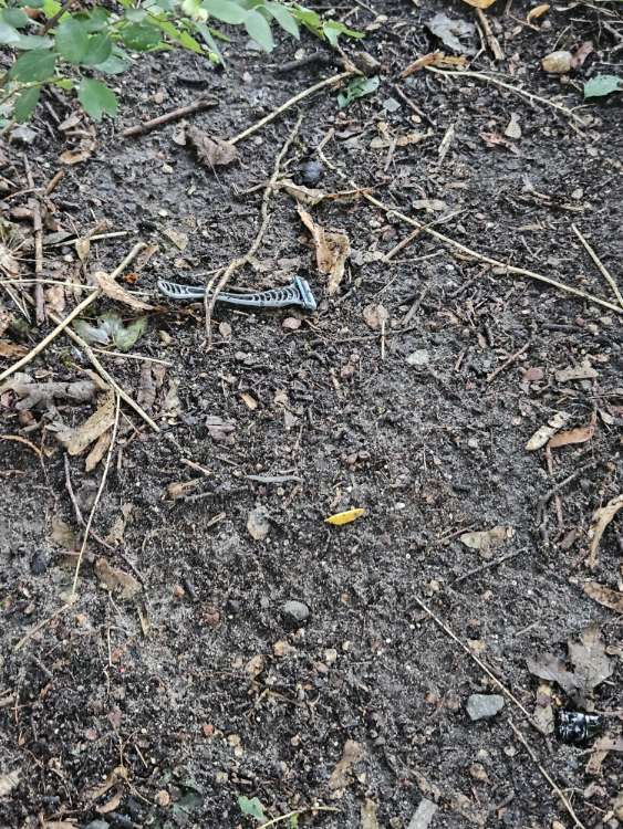 Giftköder-Rasierer-Profilbild