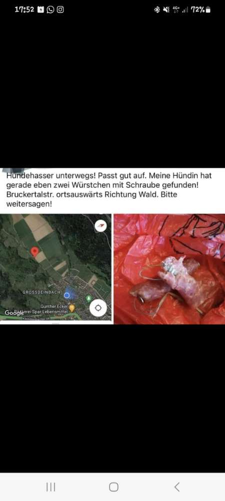 Giftköder-Giftköder-Profilbild