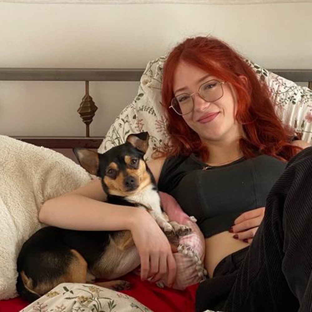 Hundetreffen-Gemeinsamer Spaziergang-Profilbild