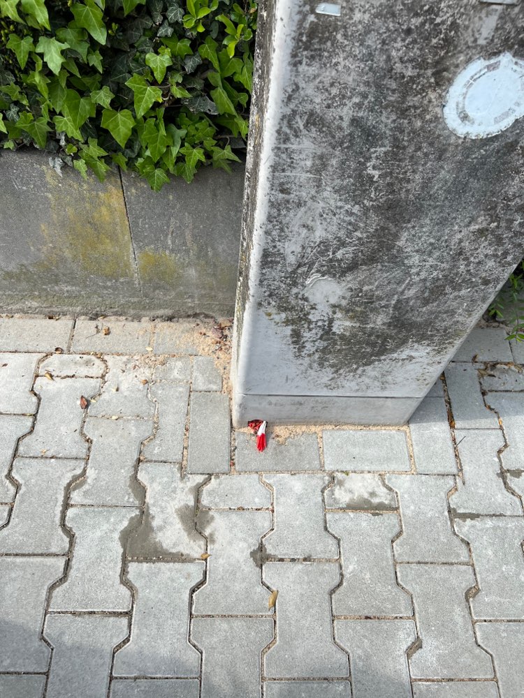 Giftköder-Eventuelle giftköder-Profilbild