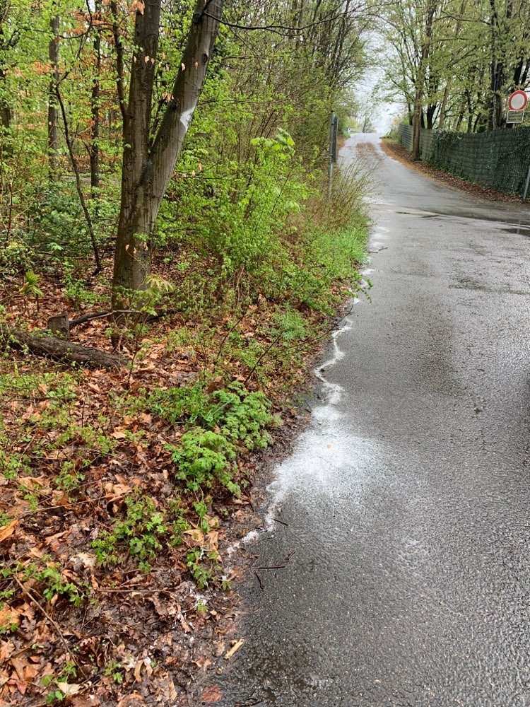 Giftköder-Wieder weißes Pulver Robinienweg-Profilbild