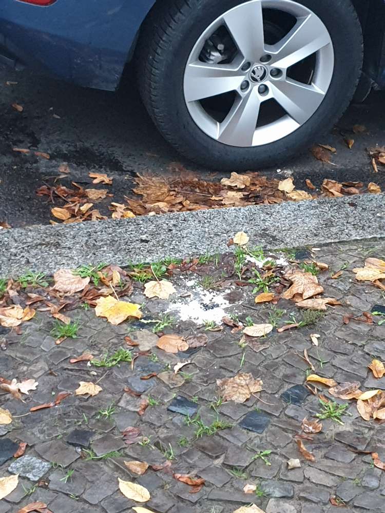 Giftköder-Weißes Pulver-Profilbild