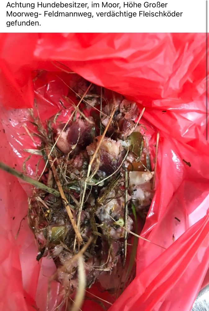 Giftköder-Verdächtige Fleischreste Buxtehuder Moor-Profilbild