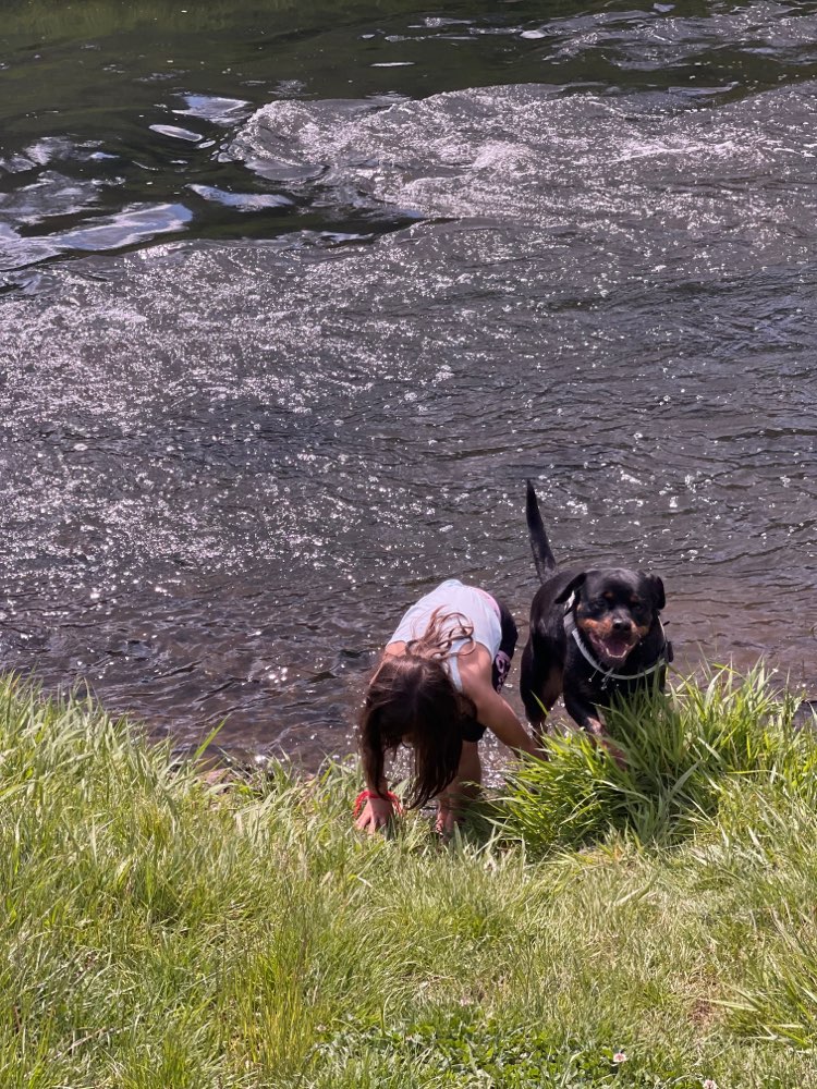 Hundetreffen-Auensee-Profilbild