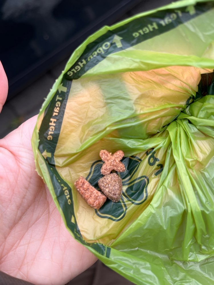 Giftköder-Leckerlies versteckt unter Laub-Profilbild