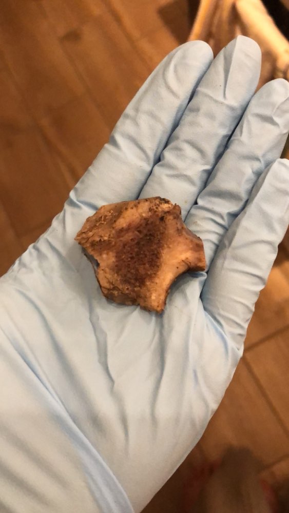 Giftköder-Knochen vlt Giftköder-Profilbild