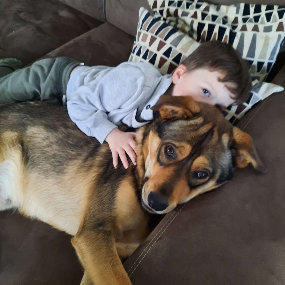 Hundetreffen-Hundefreunde gesucht-Profilbild