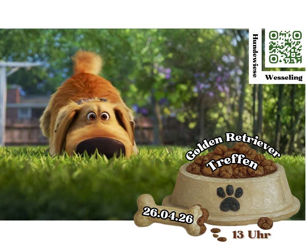 Hundetreffen-OffenesGolden Retriever Treffen-Profilbild