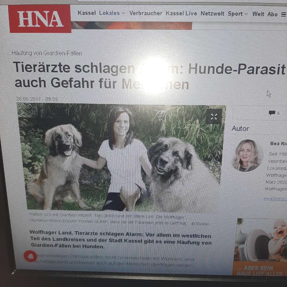 Giftköder-Giardienfälle-Profilbild