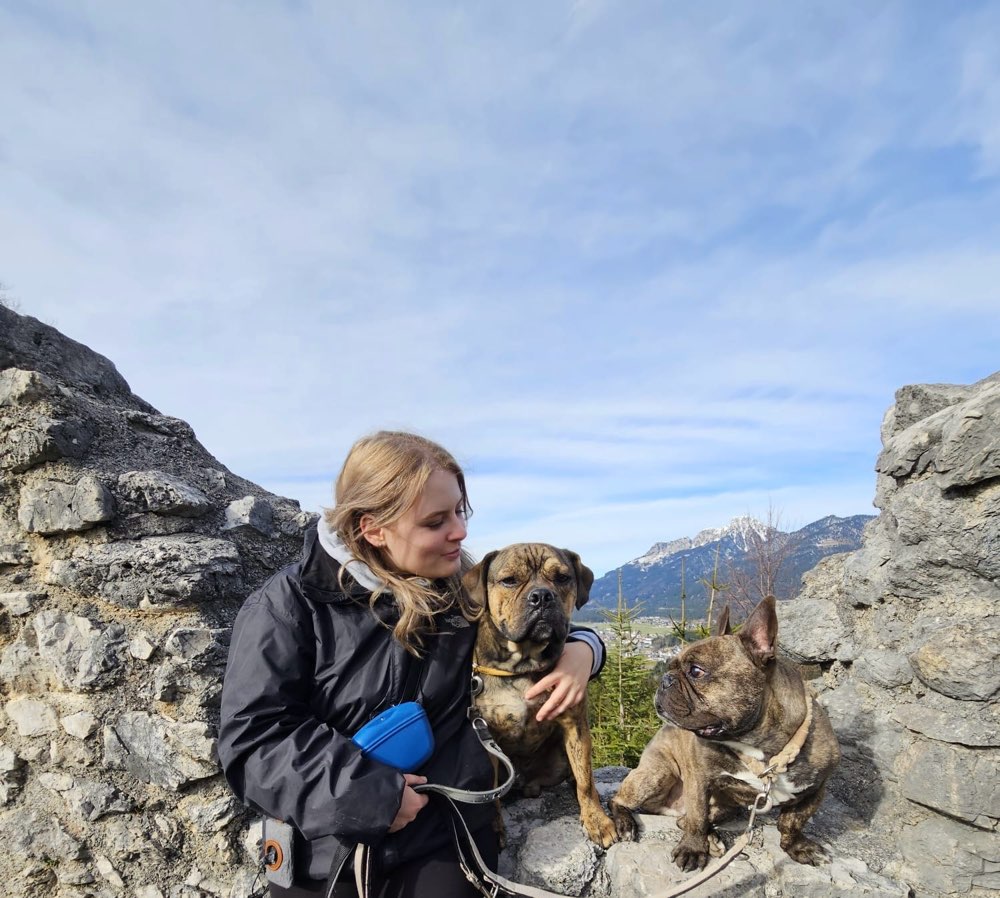 Hundetreffen-Gassirunde-Profilbild