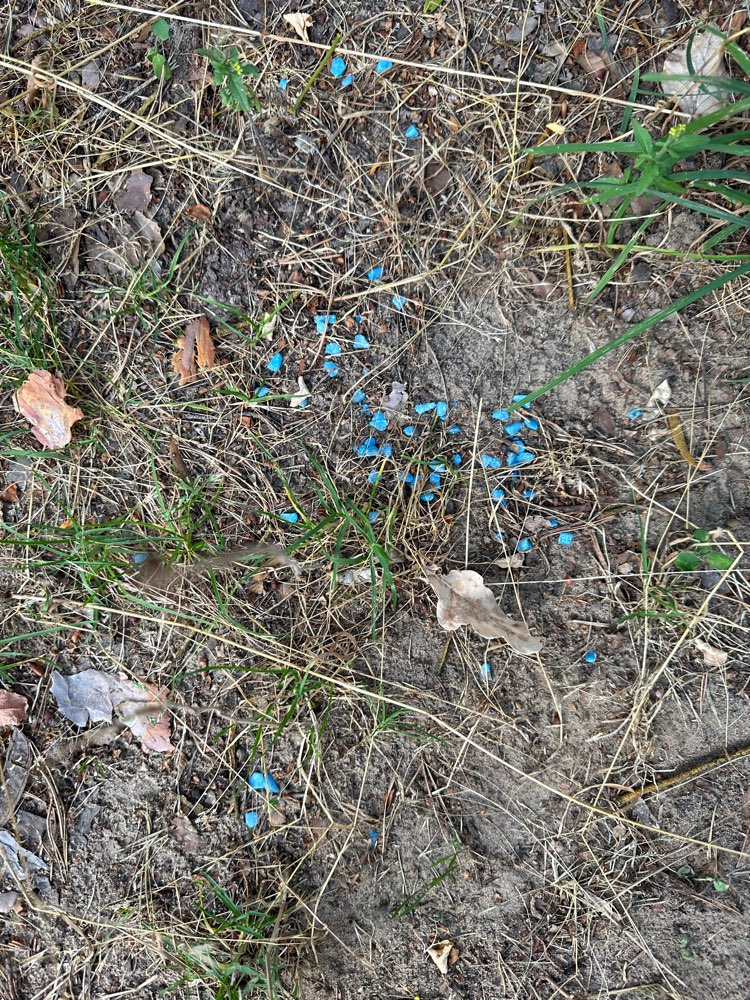 Giftköder-Giftköder-Profilbild