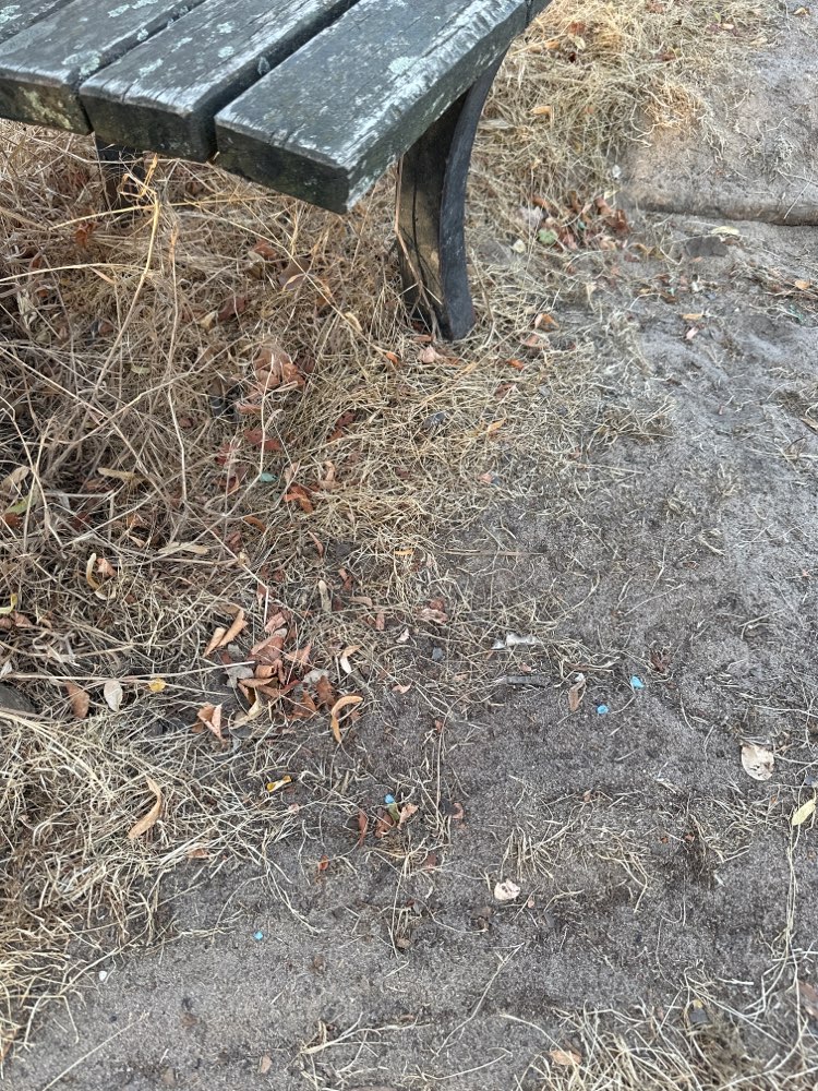 Giftköder-Weiterer Giftköder-Profilbild