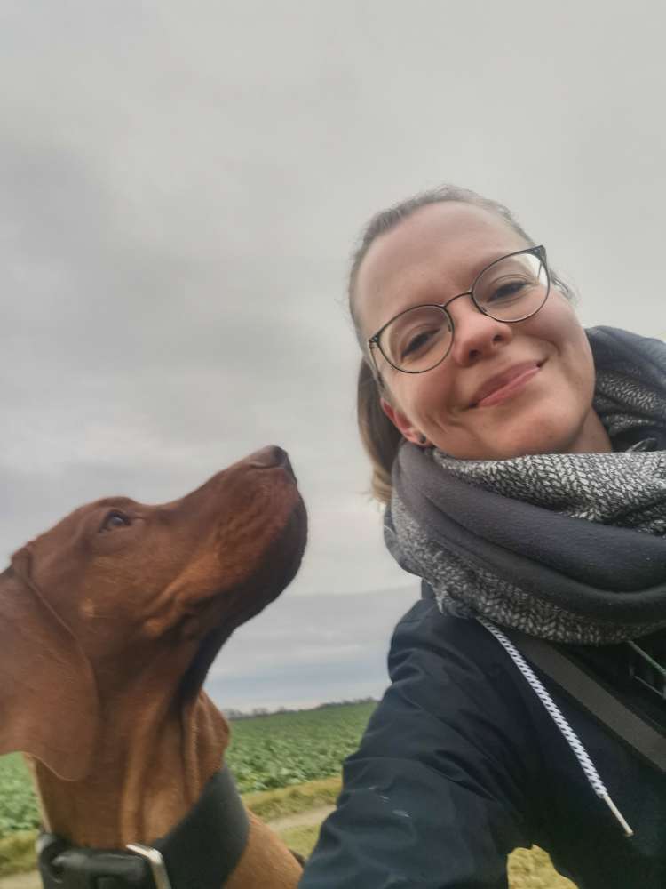 Hundetreffen-Gassirunde, gemeinsames Spielen & Schnüffeln-Profilbild