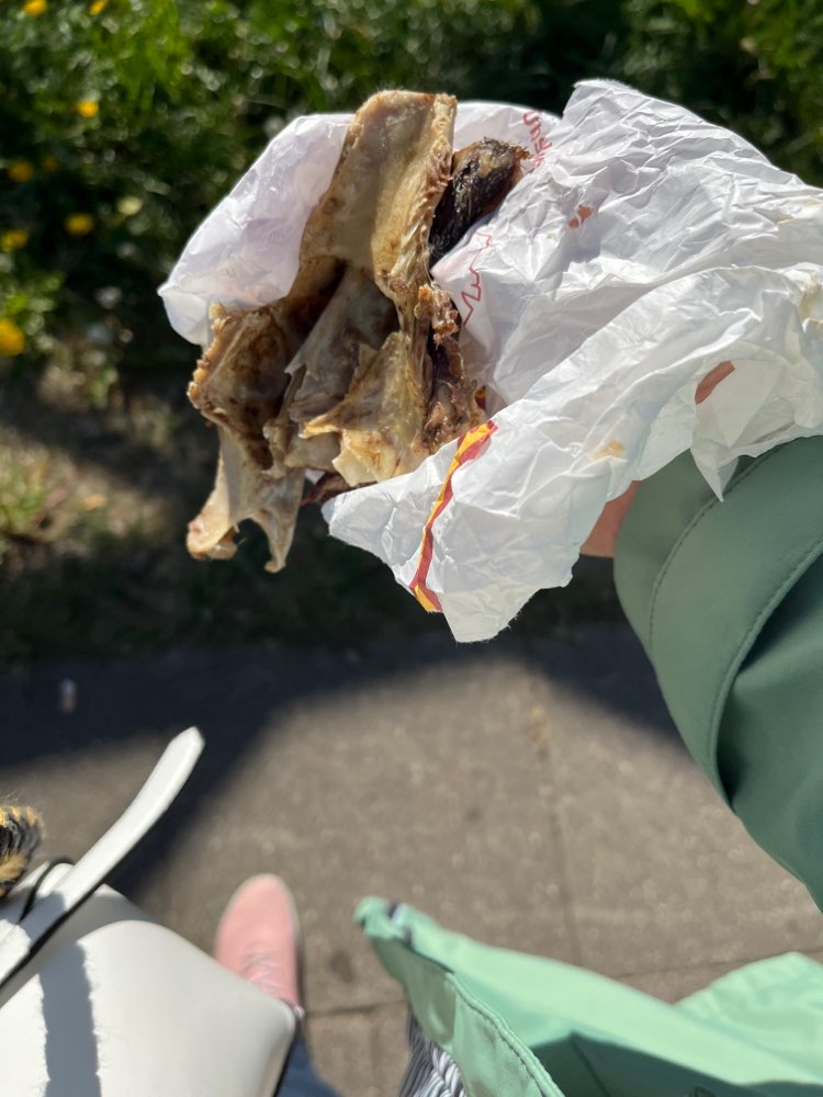 Giftköder-Verseuchtes Kadaver!! Nähe Lidl-Profilbild