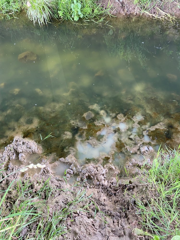 Giftköder-Chemikalien im Wasser-Profilbild