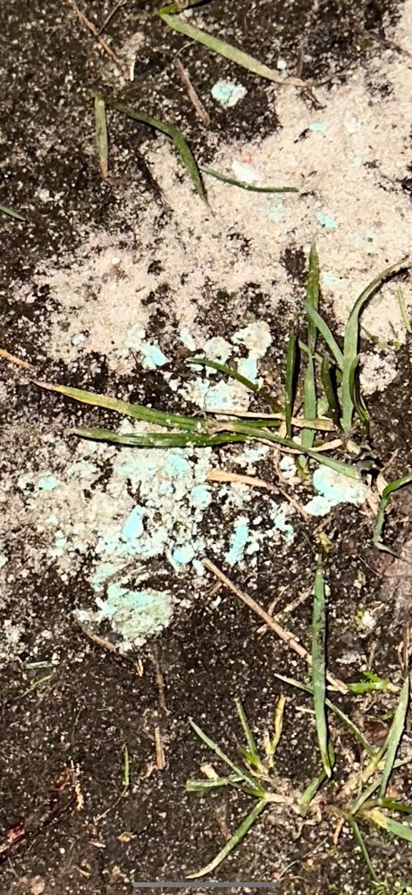 Giftköder-Evtl Rattengift?-Profilbild