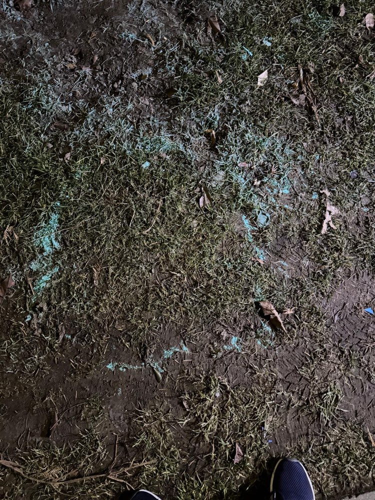 Giftköder-Vermutlich Rattengift an mehreren Stelle-Profilbild