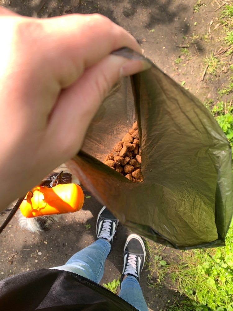 Giftköder-Hundefutter auf dem Weg-Profilbild