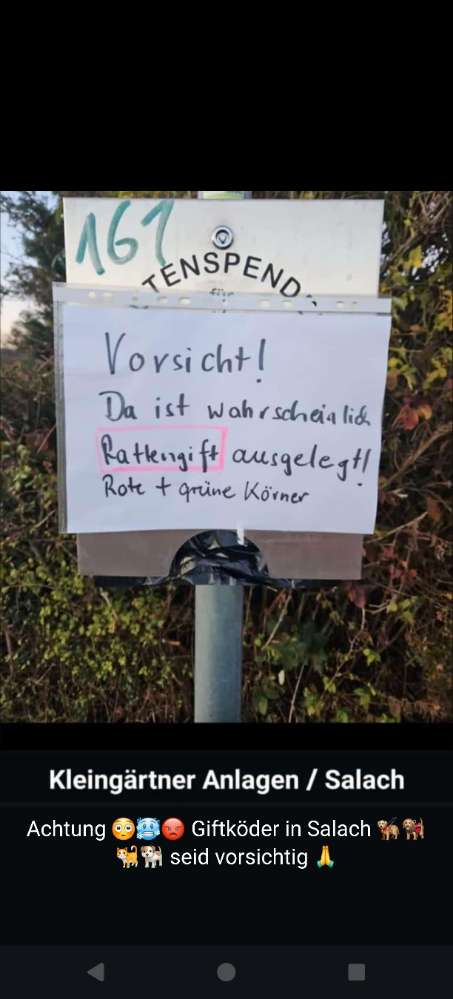 Giftköder-Evtl Giftköder/Rattengift?!-Profilbild