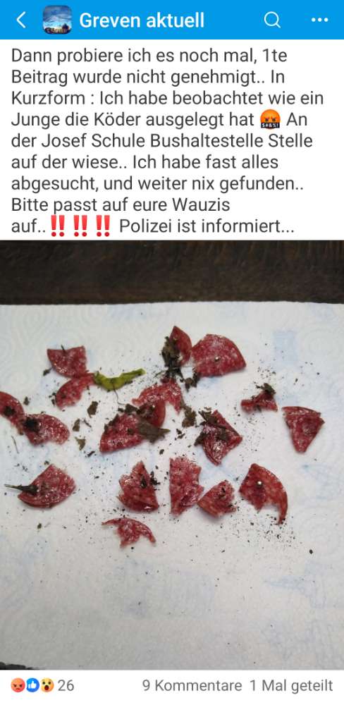 Giftköder-Giftköder in Salami-Profilbild