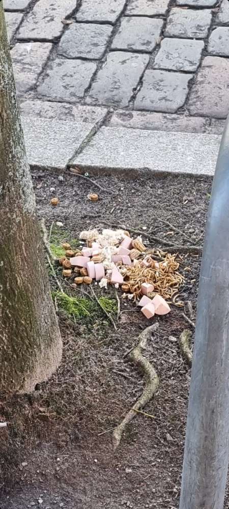 Giftköder-U.a. Fleischwurst, Trockenfutter-Profilbild