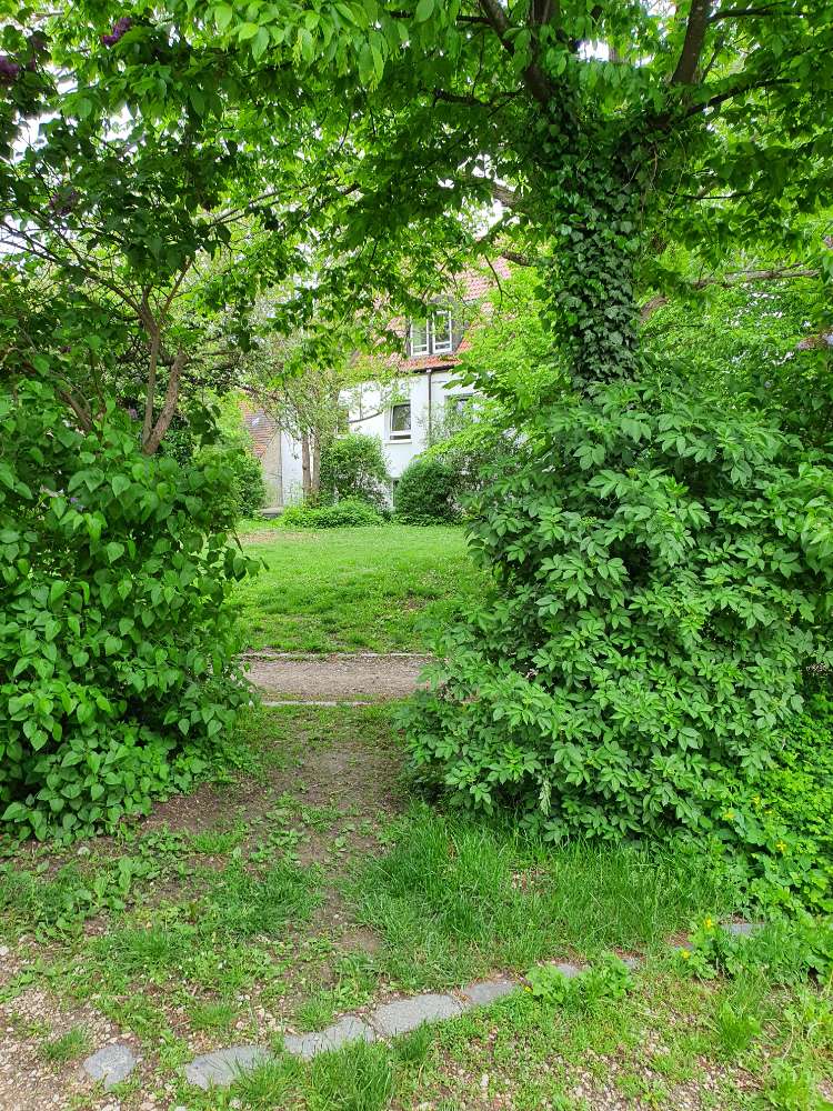 Giftköder-Verdächtige Wurstpaste-Profilbild