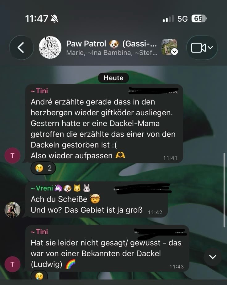 Giftköder-Vermutlich Giftköder-Profilbild