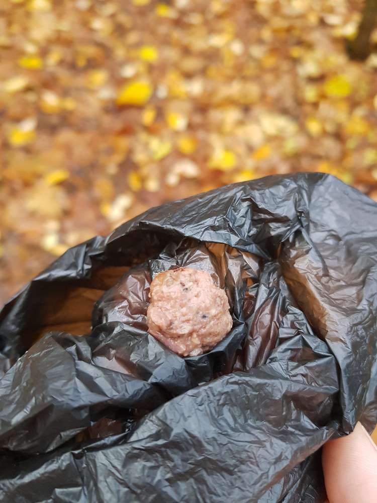 Giftköder-Möglicher Giftköder / Nassfutter-Profilbild