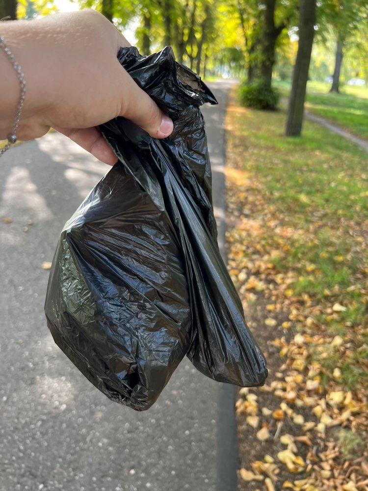 Giftköder-Hühnerknochen-Profilbild