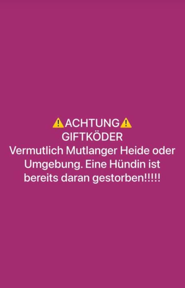 Giftköder-Giftköder-Profilbild