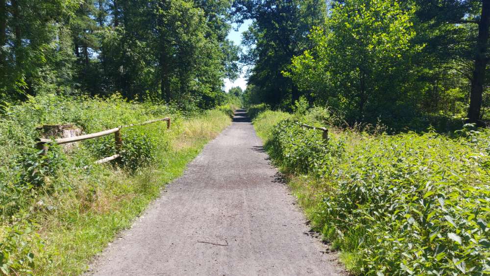 Giftköder-Verwester Kadaver eines Rehs-Profilbild