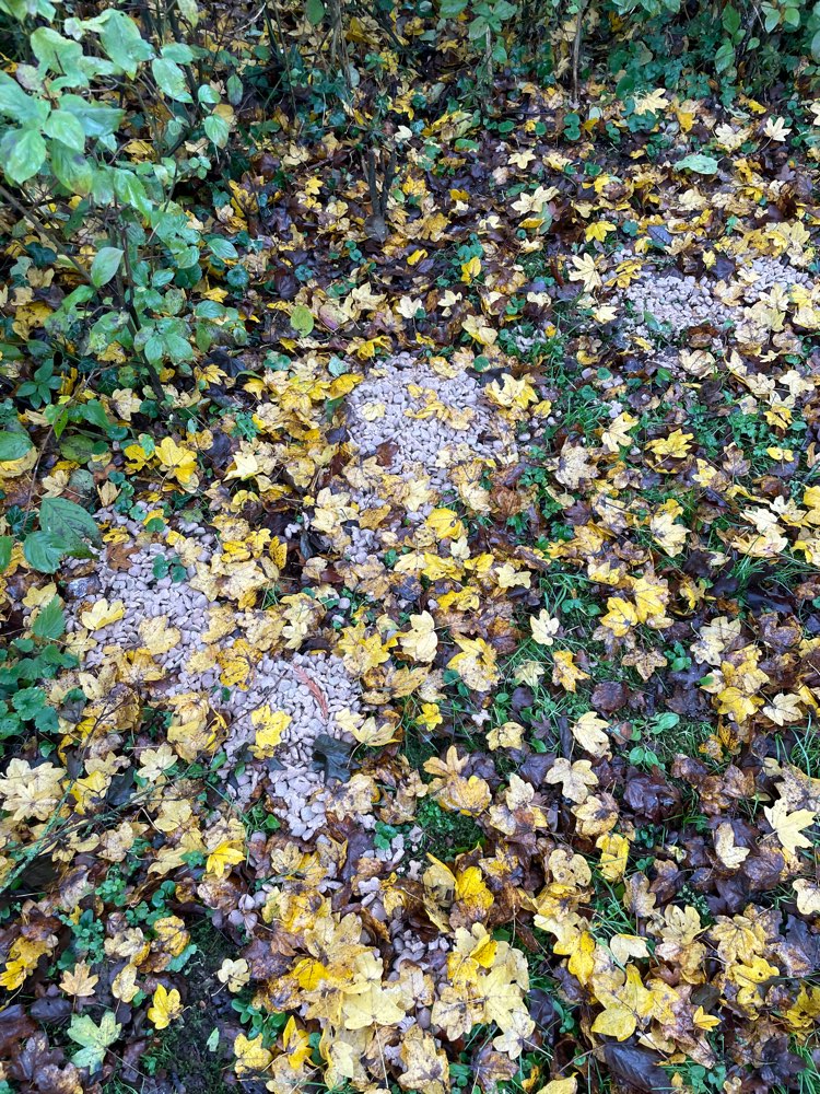 Giftköder-Riesige Haufen Trockenfutter-Profilbild