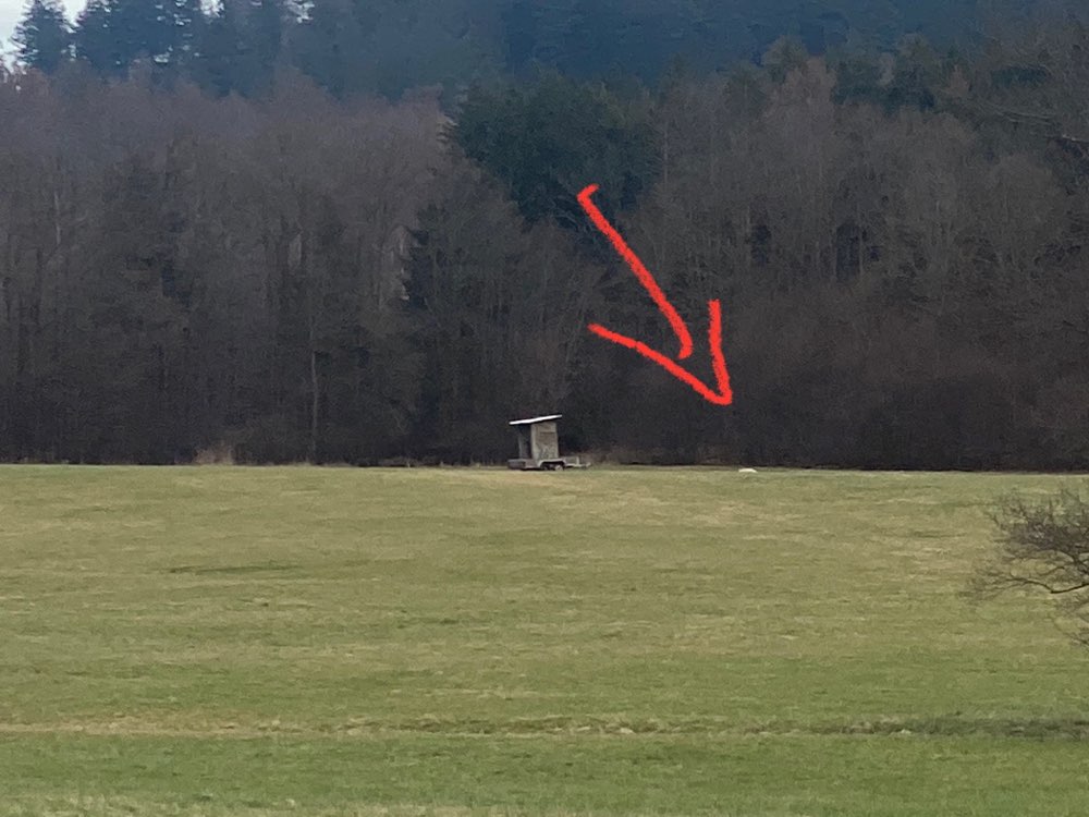 Giftköder-Totes Schaf-Profilbild