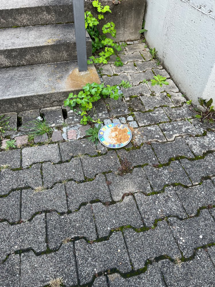 Giftköder-Gift Teller-Profilbild