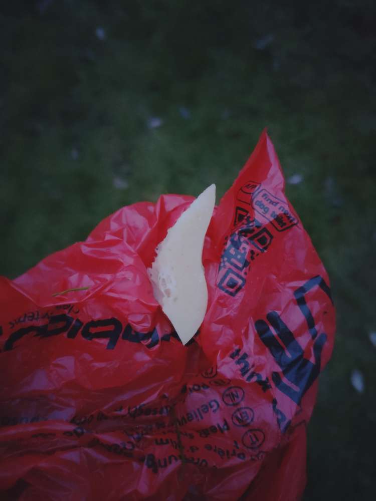 Giftköder-Sharp bone pieces-Profilbild