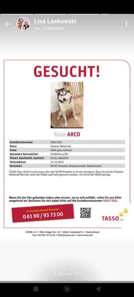 Suchmeldung-Arco-Profilbild