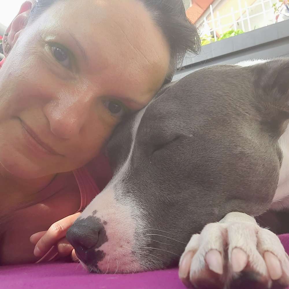 Hundetreffen-Treffen in Leipzig-Borsdorf-Profilbild