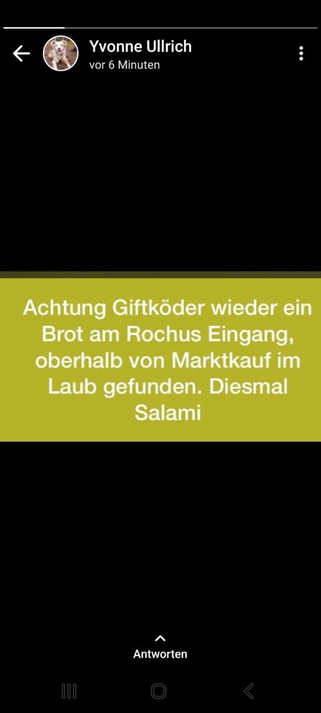 Giftköder-Evtl. Giftköder Brot/ Brötchen-Profilbild