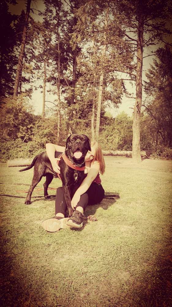 Hundetreffen-Hunde treff chorweiler-Profilbild