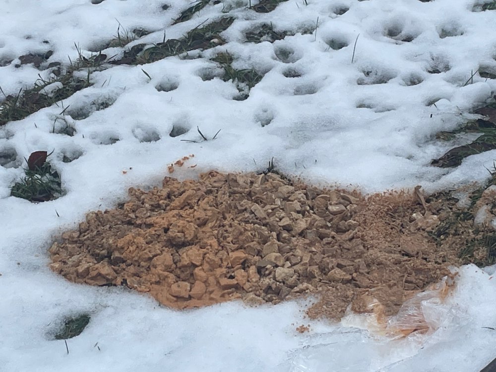 Giftköder-Fleischreste & ekelhafte Flüssigkeit-Profilbild