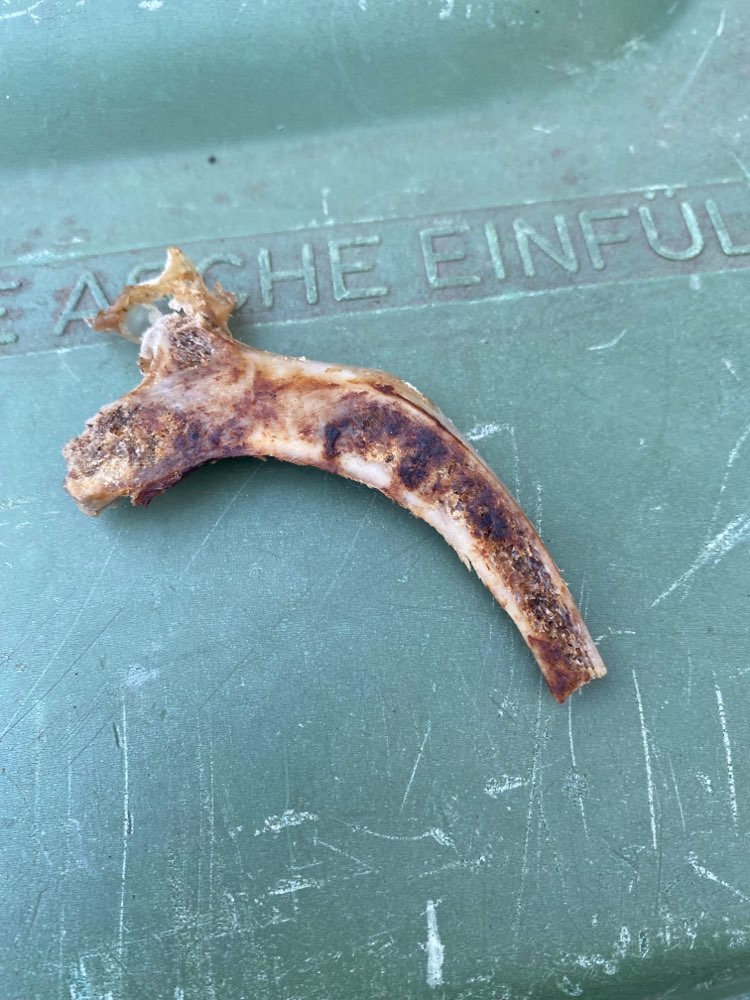 Giftköder-Spitze Knochenstücke direkt am Laufweg-Profilbild