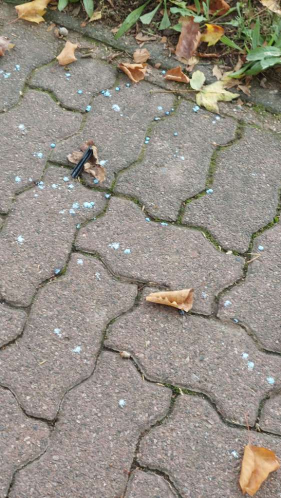 Giftköder-Mgl. Giftköder-Profilbild