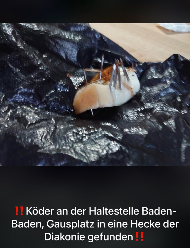 Giftköder-Nagelköder Nr.2 heute-Profilbild